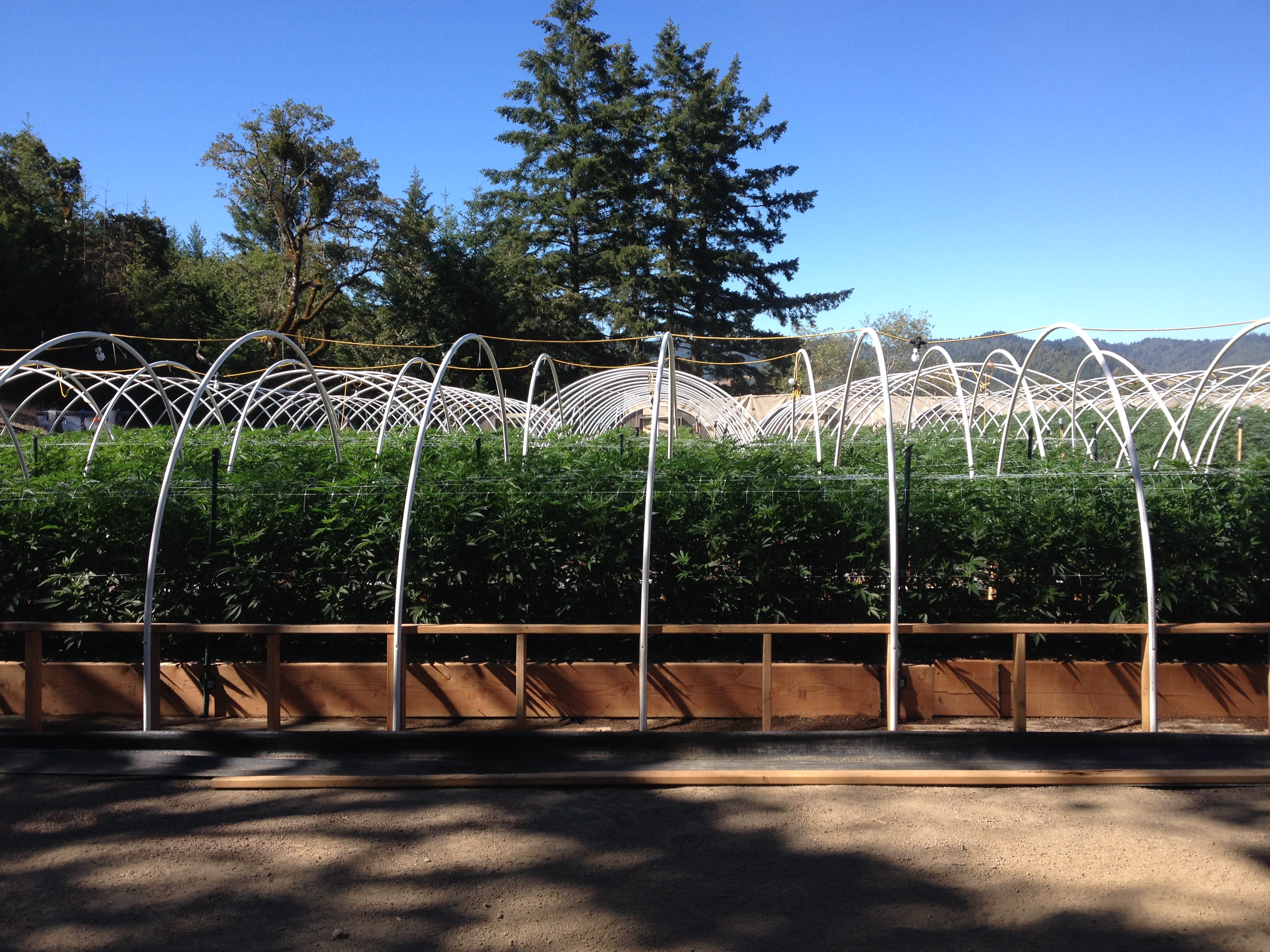 Search Warrants - Case 201502868